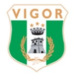 vigor-lamezia